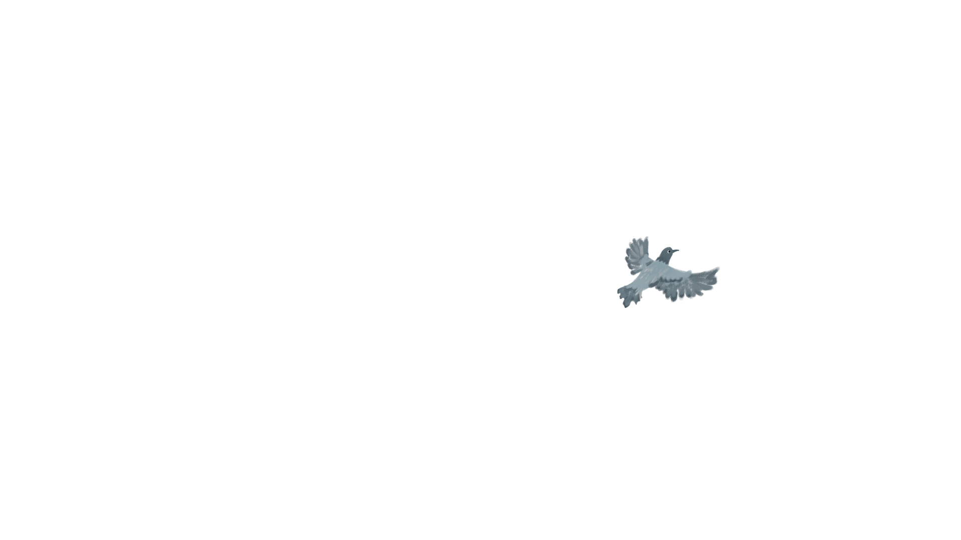 bird