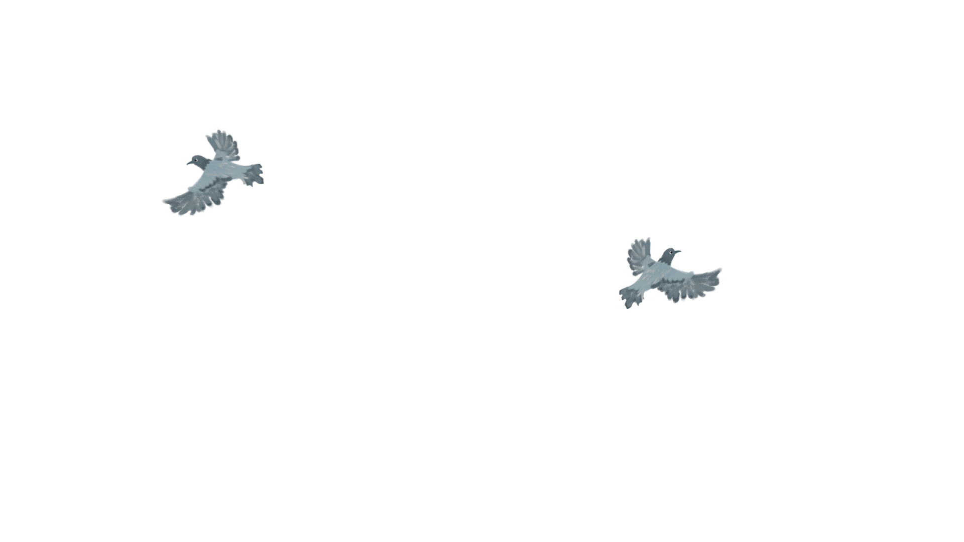 bird2